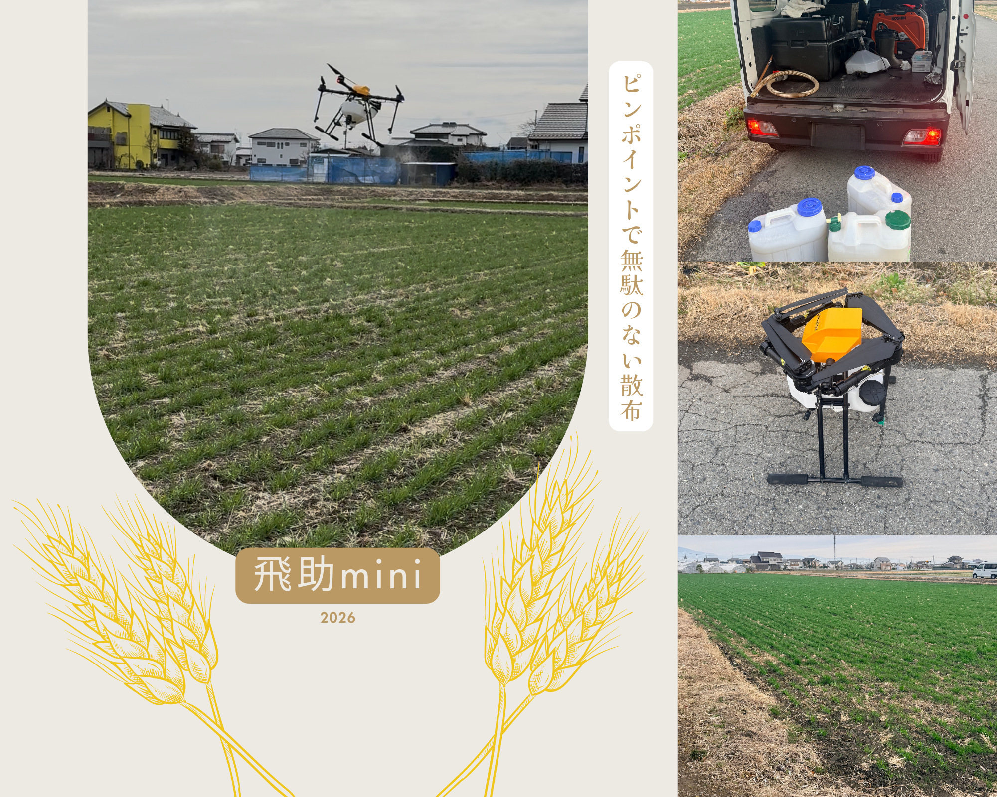 🌱 飛助miniによるスポット防除を実施しました